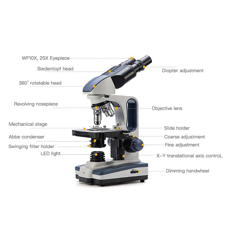 SWIFT SW350B 40X-2500X Biological Microscope With Siedentopf Binocular Head, 10X 25X Eyepieces, Mechanical Stage, Abbe Condenser