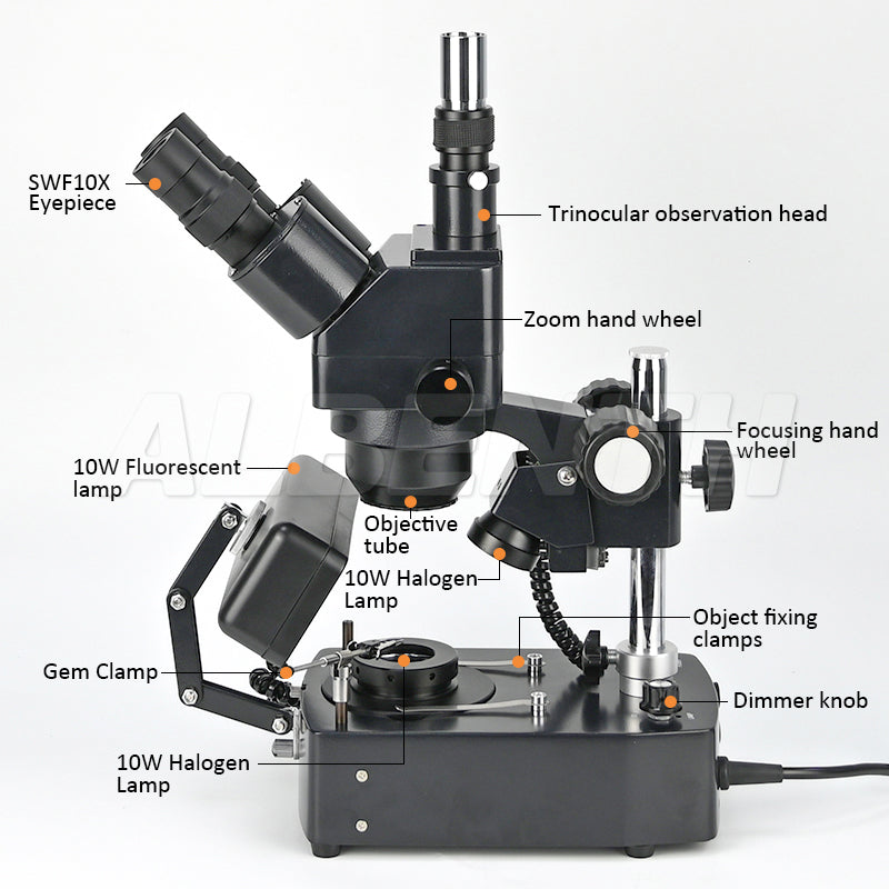 Albenth 10X-40X Jewelry Gem Trinocular Stereo Microscope on Pillar Stand 5.1MP USB Camera