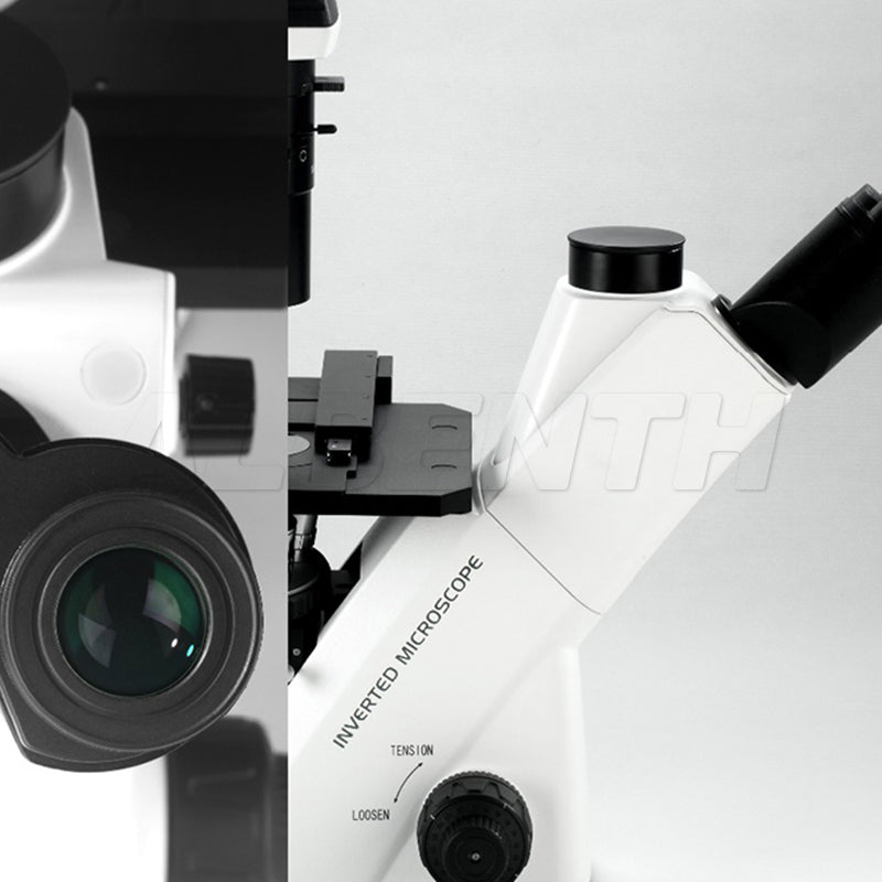 Albenth Inverted Biological Microscope for Laboratory Observation and Cultivation for Cell Tissue