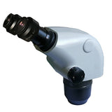microscope binocular head