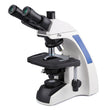 a brightfield microscope can be used to view quizlet
