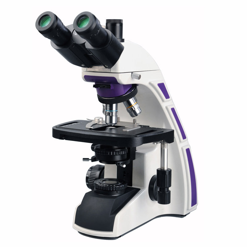 a brightfield microscope can be used to view
