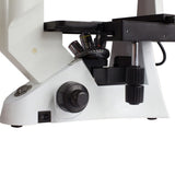 brightfield microscope unstained