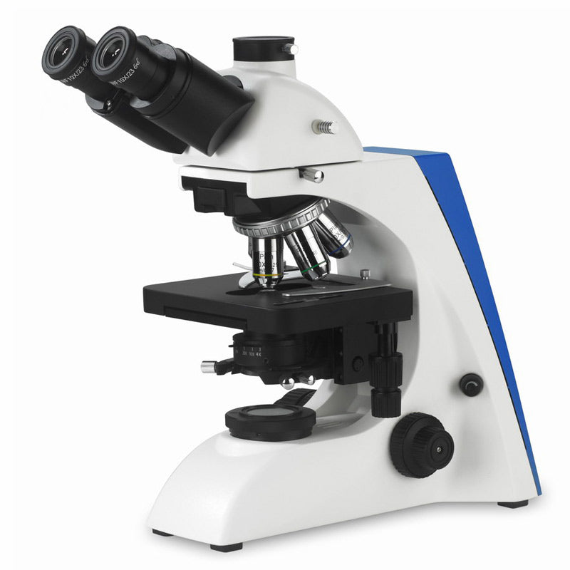 brightfield microscope function