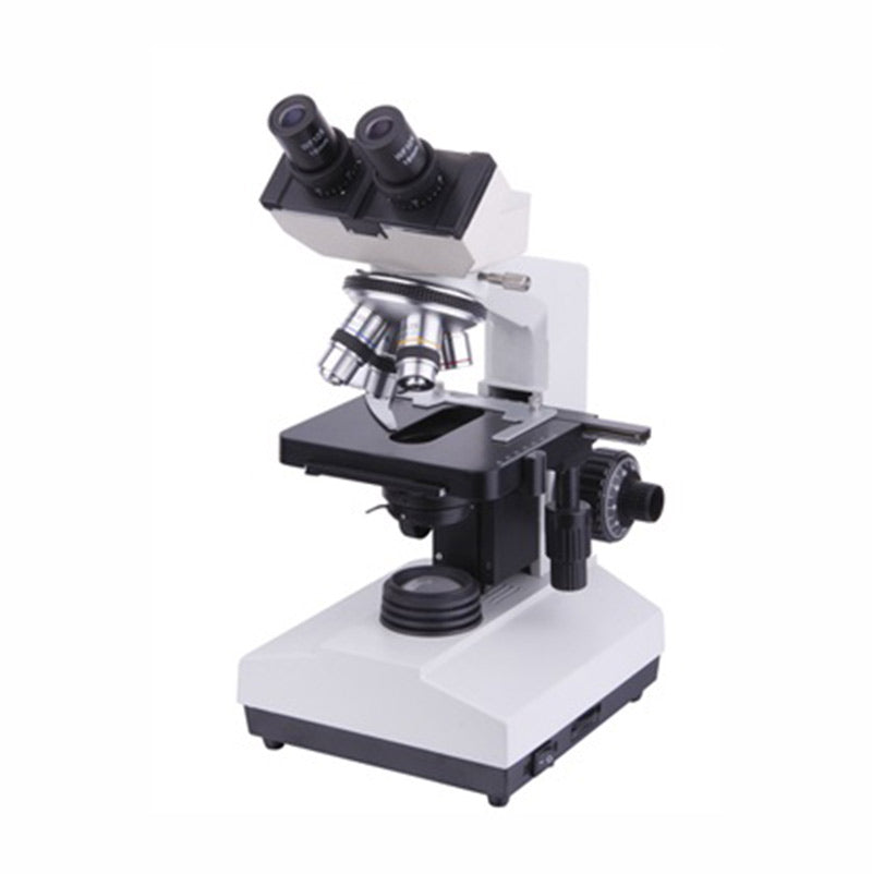 basophils brightfield microscope
