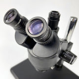 microscope stereo