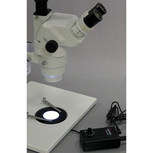 base light microscope